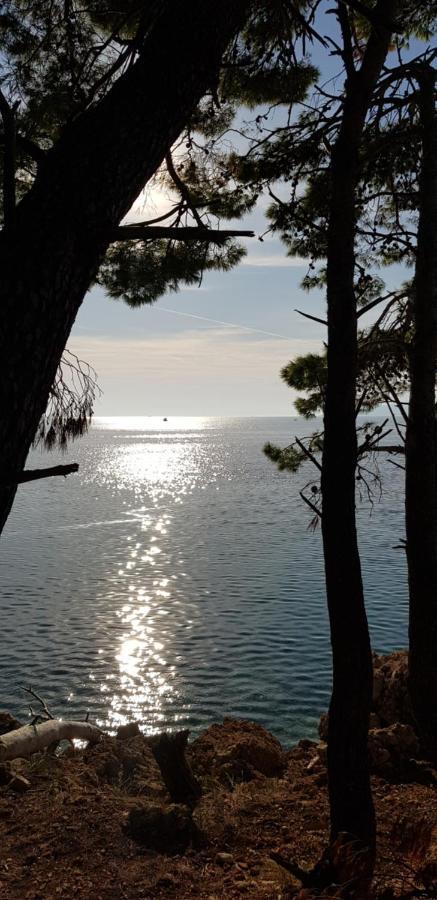 Luxury Apartment Spa "Marina" Makarska Buitenkant foto