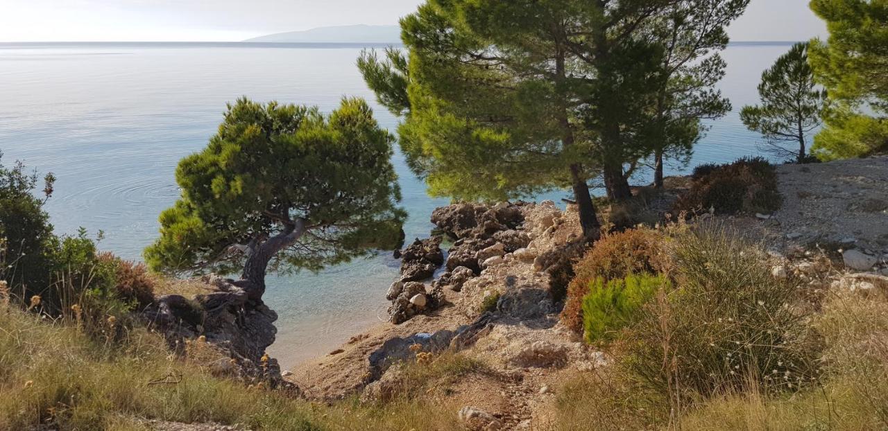 Luxury Apartment Spa "Marina" Makarska Buitenkant foto