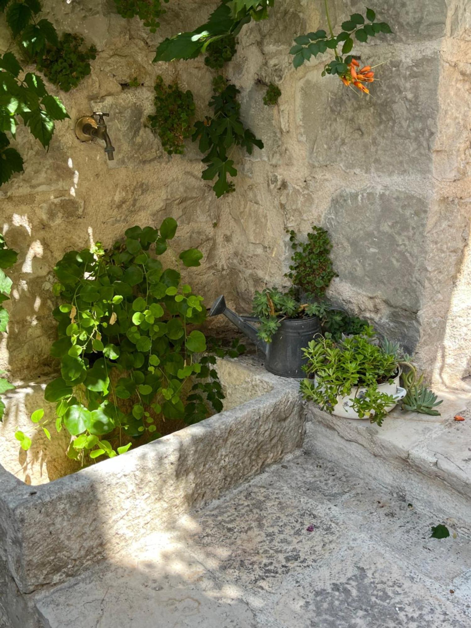 Luxury Apartment Spa "Marina" Makarska Buitenkant foto